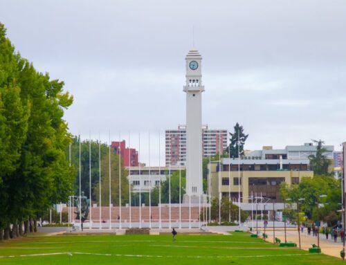 Universidad de Concepción lideró la adjudicación de proyectos VIU por segundo año consecutivo