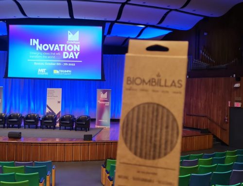 Así es Biombillas, la startup de la Región de O’Higgins que desarrolla una alternativa sustentable a las bombillas plásticas